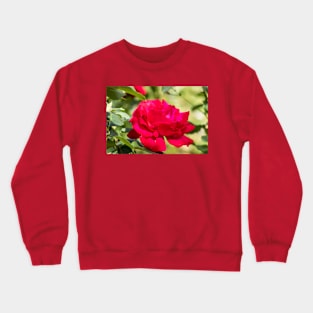red rose Crewneck Sweatshirt